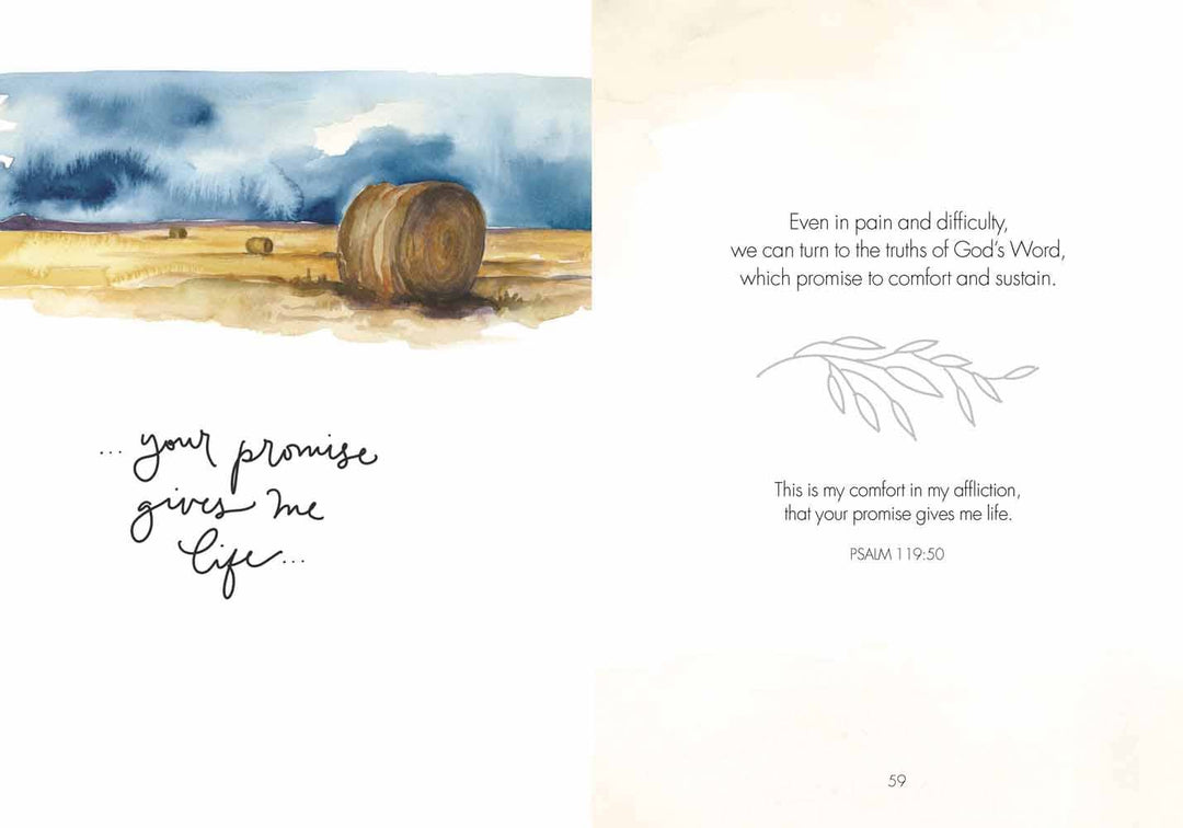 Fields of Joy: Hardcover-Anatomy Clothing Boutique in Brenham, Texas