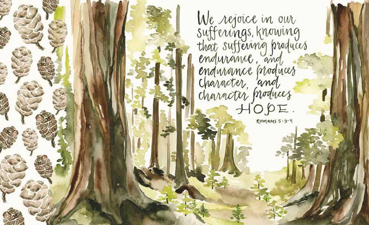 GraceLaced: Hardcover-Anatomy Clothing Boutique in Brenham, Texas