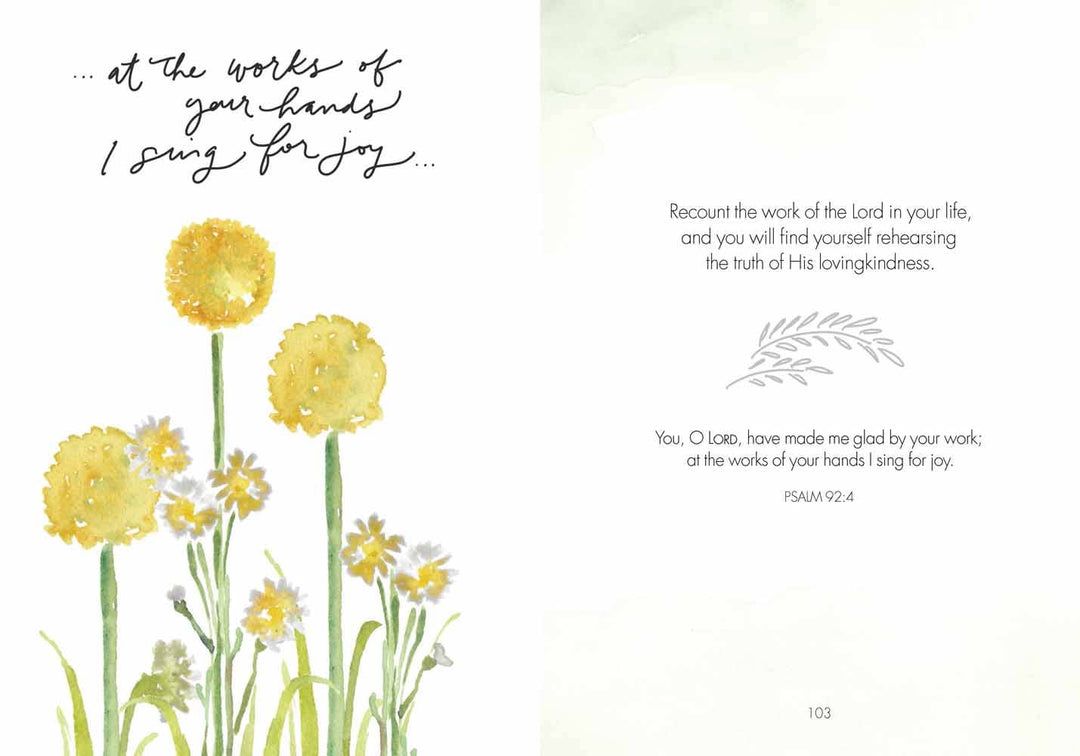 Fields of Joy: Hardcover-Anatomy Clothing Boutique in Brenham, Texas