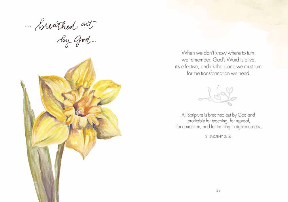 Garden of Truth: Hardcover-Anatomy Clothing Boutique in Brenham, Texas