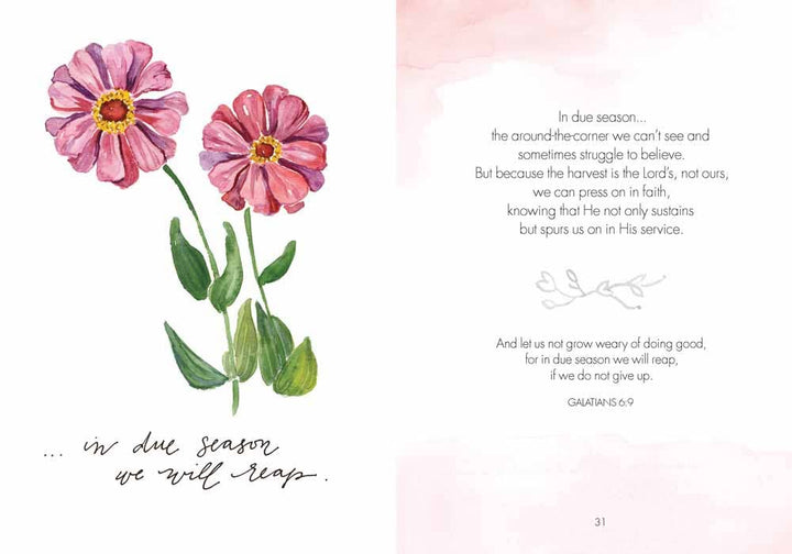 Garden of Truth: Hardcover-Anatomy Clothing Boutique in Brenham, Texas