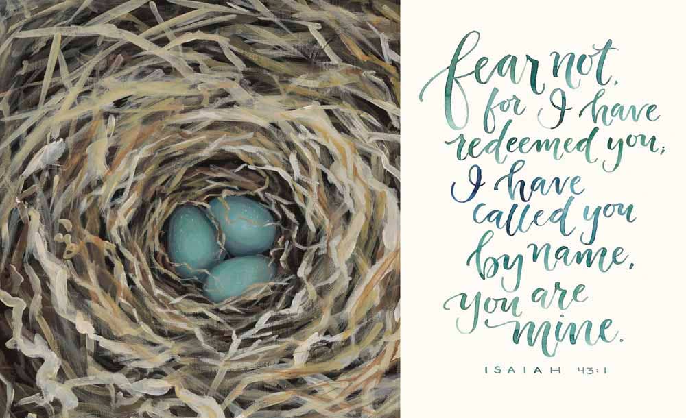 GraceLaced: Hardcover-Anatomy Clothing Boutique in Brenham, Texas